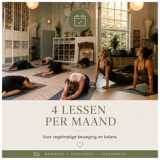 Abonnement: 4 lessen per maand