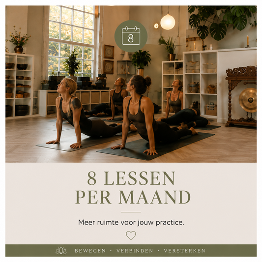 Abonnement: 8 lessen per maand